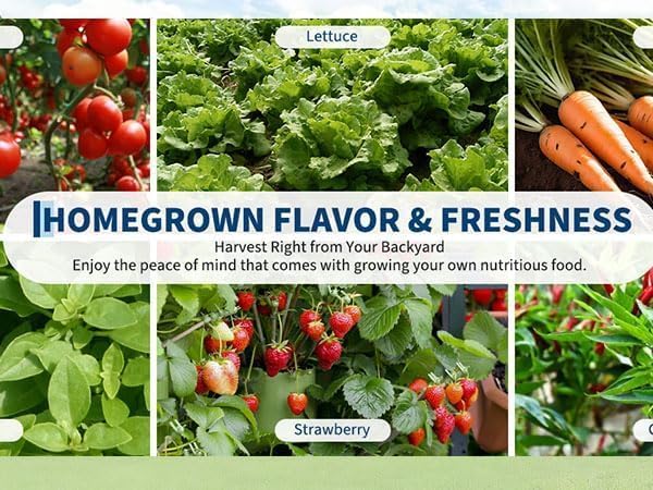 Raised Garden Bed with Cover 6x3x1 Ft Outdoor Galvanized Metal Planter Box with 2 Screen Windows Mini Greenhouse for Vegetables and Flowers Clear Top Cover