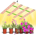 LED Grow Light 2ft 4Heads 800W Equivalent Super Bright Indoor Full Spectrum Plants Lamps Sunlight Fill Planting Lights Greenhouse Tent Growth Box 100-277V Vegetables Seeds Flower Hydroponics Lighting