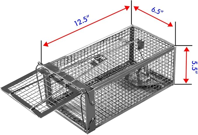 Humane Squirrel Trap - 2 Pack Rat Trap that Works 12.5x6.5x5.5 Small Rodent Chipmunk Trap Cages | Catch and Release | Reusable and Durable | No Kill Animal Trap | Indoor for Home and Outdoors