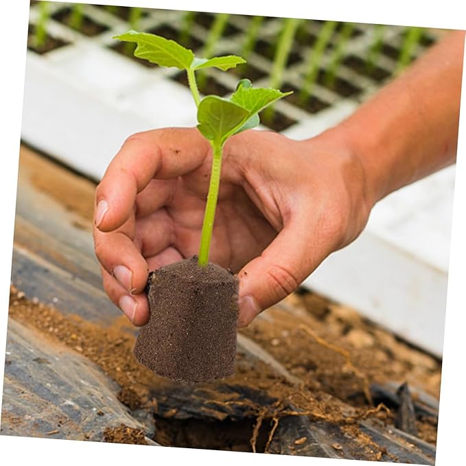 GANAZONO 60pcs Plant Starter Cubes Containers Plant Starter Plugs Potting Soil Peat Moss Blocks Fertilizer Nutrient Blocks