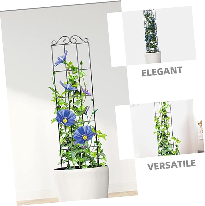 TEHAUX 4pcs Metal Climbing Plant Trellis Frame 50x15cm Black Vine Support for Garden and Potted Plants Climbing Cage for Indoor and Outdoor Gardening