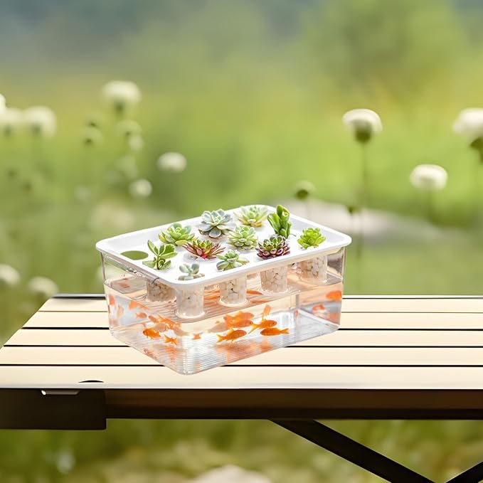 Generic Hydroponics Grower Box Hydroponic System Growing Box 12 Holes Wear Resistant Desktop Micro Landscape Tank for Vegetables Home White