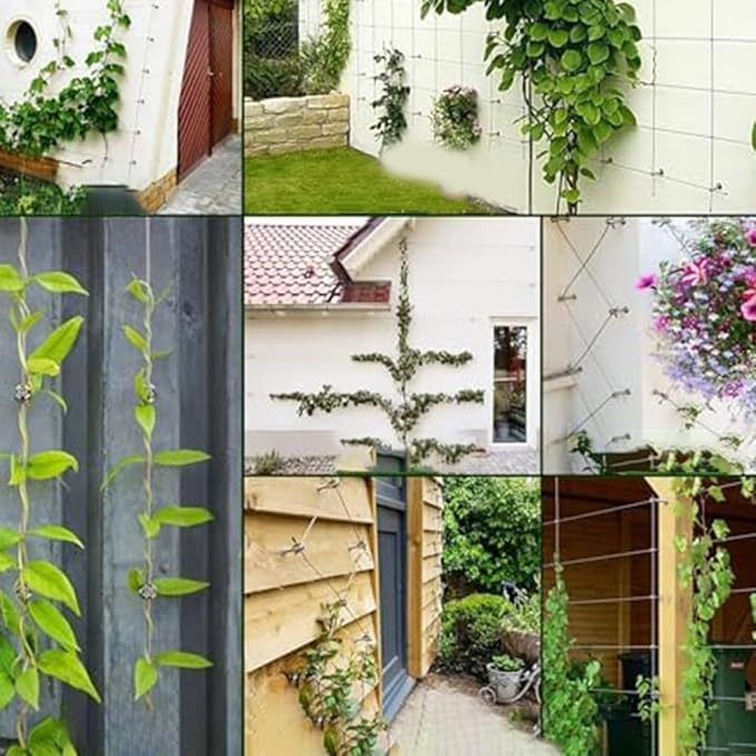 Wire Trellis Kit Stainless Steel Garden Trellis Kit T304 Wire Rope Plant Support System for Climbing Vines Wall Training Outdoor Vertical Garden Decor with Tools and Accessories(12 meters)