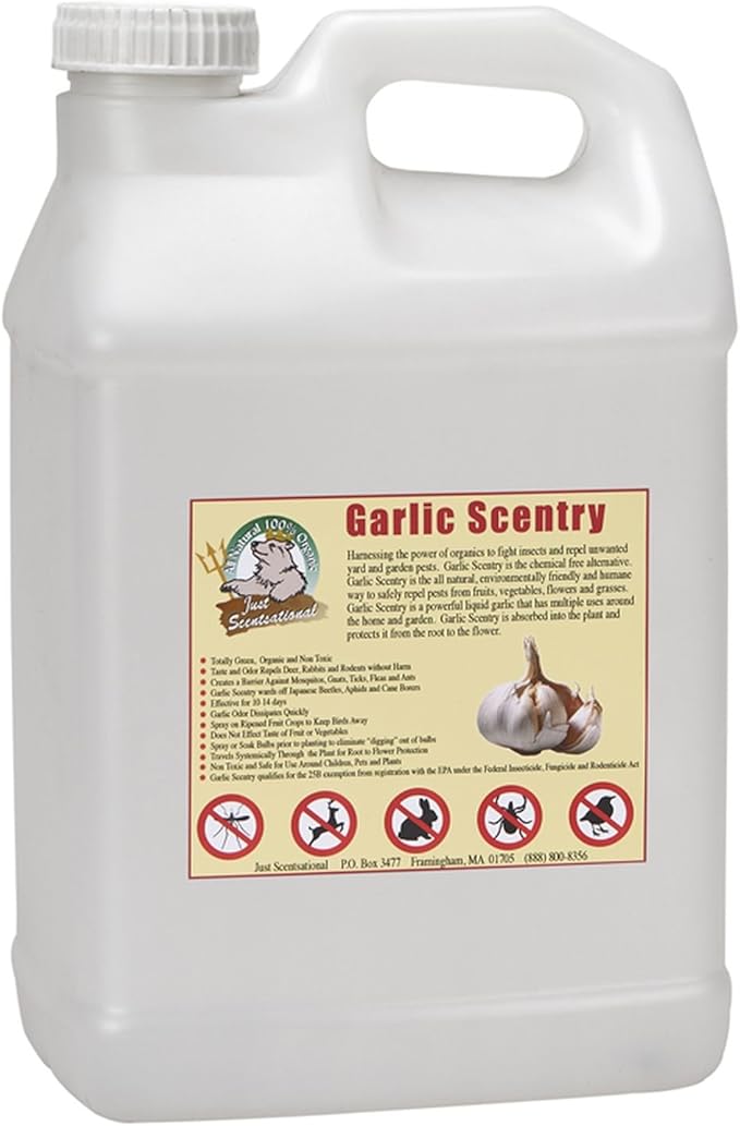 Just Scentsational Bare Ground Solutions GCS-2.5P All Natural Liquid Garlic Concentrate Barrier and Repellent 320 oz (2.5 Gallons)