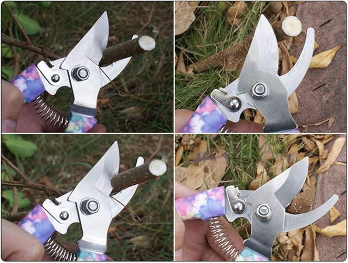 Anti-Rust Garden Tool Set with Carrying Case 5 Piece Stainless Steel Gardening Kit with Floral Pattern Grass Flower Branch Trimmer Garden Hand Tool Sprayer Farmer Box Gardening Tool for Adults Kids