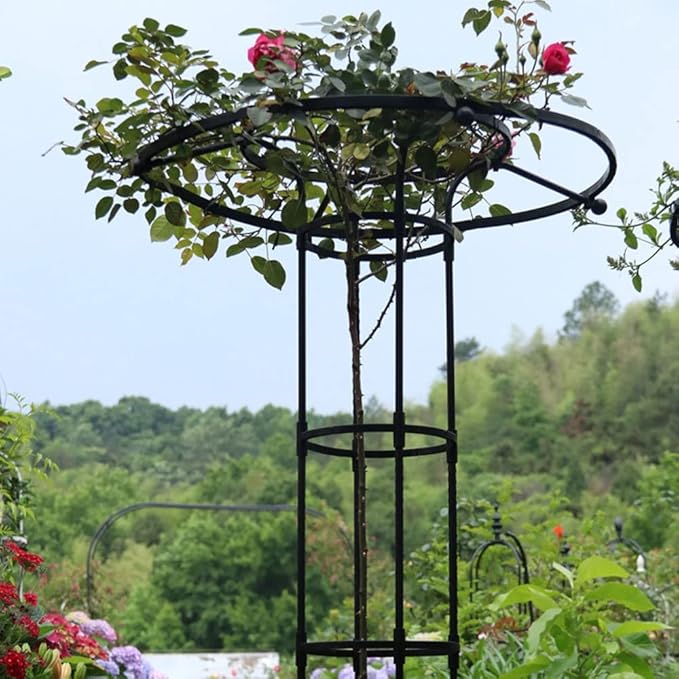 Umbrella Obelisk Garden Trellis for Climbing Plant 3ft 4ft 5ft 5.9ft 6.9ft Rustproof Metal Potted Plant Climbing Support for Indoor Outdoor Flowers Vegetable Fruits Vines Support (Black) ( Size : 210