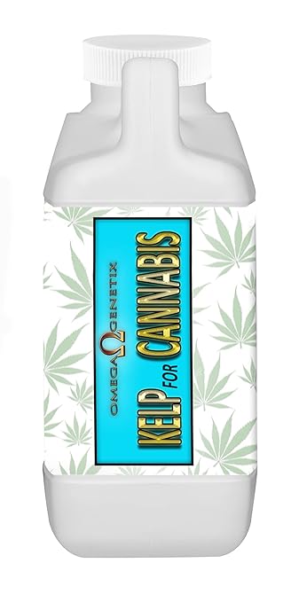 Kelp for Plants