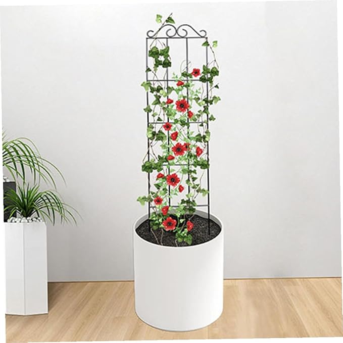 Operitacx 4pcs Metal Garden Trellis Plant Climbing Rack Support Frame for Potted Vines Indoor Outdoor Plant Climbing Holder 50x15cm Black