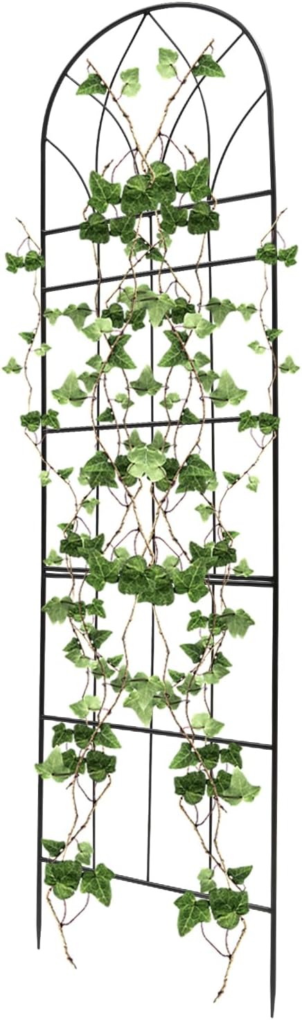 Generic Metal Garden Trellis for Climbing Plants 2 Pack BlackEasy Assembly