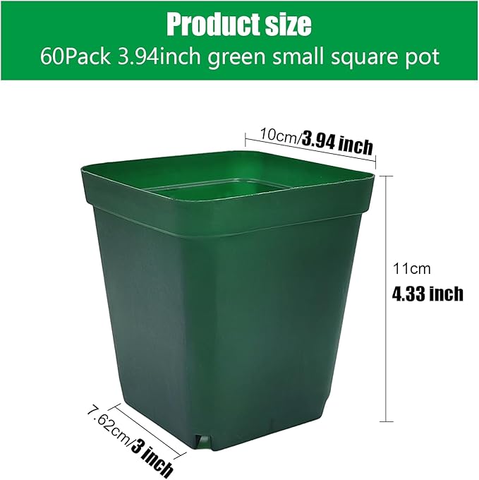 Square Nursery Succulent Pots 4 Inches 60 Pcs Deep Flower Plant Nursery Seedling Grow Pots Plastic with Drainage (Green 4Inches 60Pcs)
