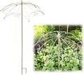 Metal Garden Trellis Plant Supports for Potted Plants Indoor for Climbing Vines Tomato Flower Vegetable Rose 93cm High Do Old Green(White)