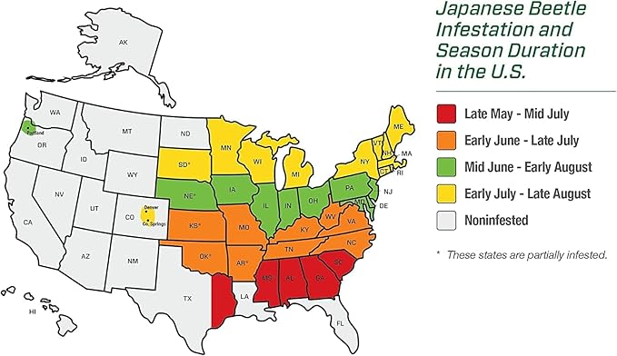Japanese Beetle Trap