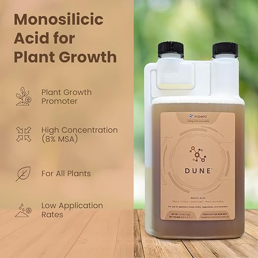 Dune - Bioavailable Silica for Plants – Strengthens Cell Walls Boosts Growth &amp Stress Resistance – Bigger Yields – Hydroponic &amp Soil Compatible - Medicinal Fruit Vegetable &amp Ornamental