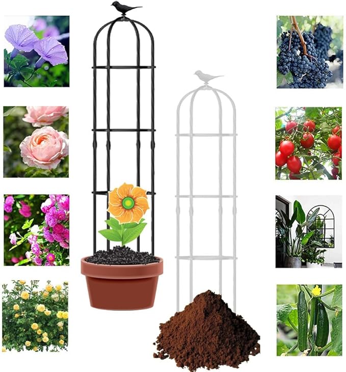 Metal Obelisk Trellis Garden Trellis for Climbing Outdoor Plants Tower 21x120cm 25x190cm 31x160cm 35x150cm Birdcage Shape Tomato Cage Easy Assembly