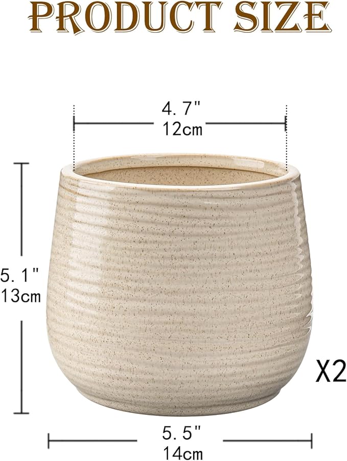 Ceramic Plant Pots 6 Inch Set of 2 Flower Plants Pot with Drainage Holes White Planter Garden Pot for Succulent Cactus Home Decoration Gift Indoor Outdoor