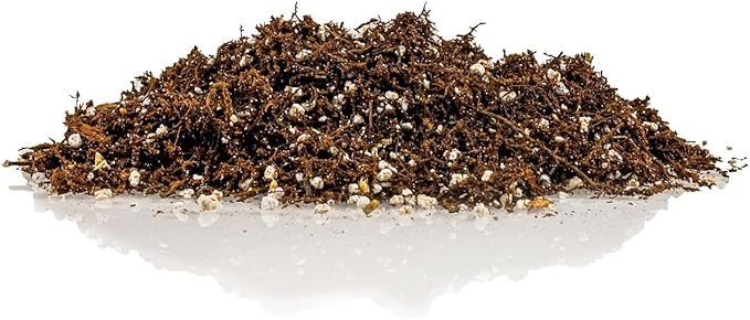 Gardenera Premium Organic Potting Soil Succulent &amp Cactus Soil Mix Fast Draining Pre-Mixed Blend - Horticultural Perlite (25%) + Peat Moss (75%) - Made in USA - 3 Quart