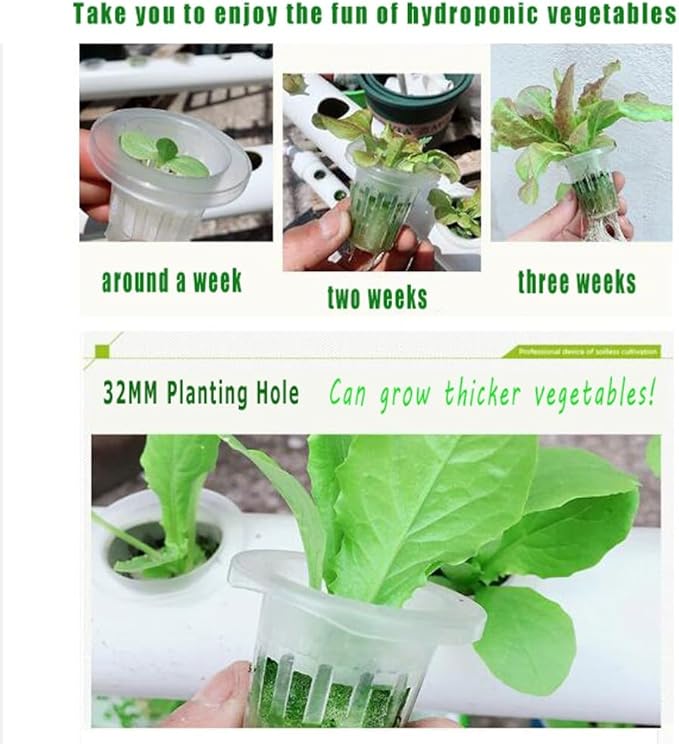 Hydroponics Growing SystemHydroponics System Hydroponic Garden Large Ideal for Planting Lettuce Celery Beets Strawberries... Growing System Indoor Garden GYL24824