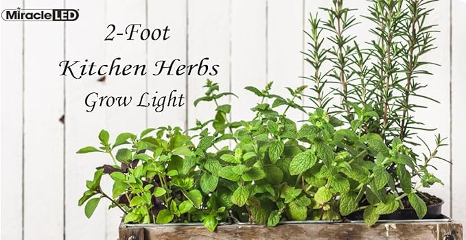 Miracle LED 2-Foot Kitchen Herbs Grow Light