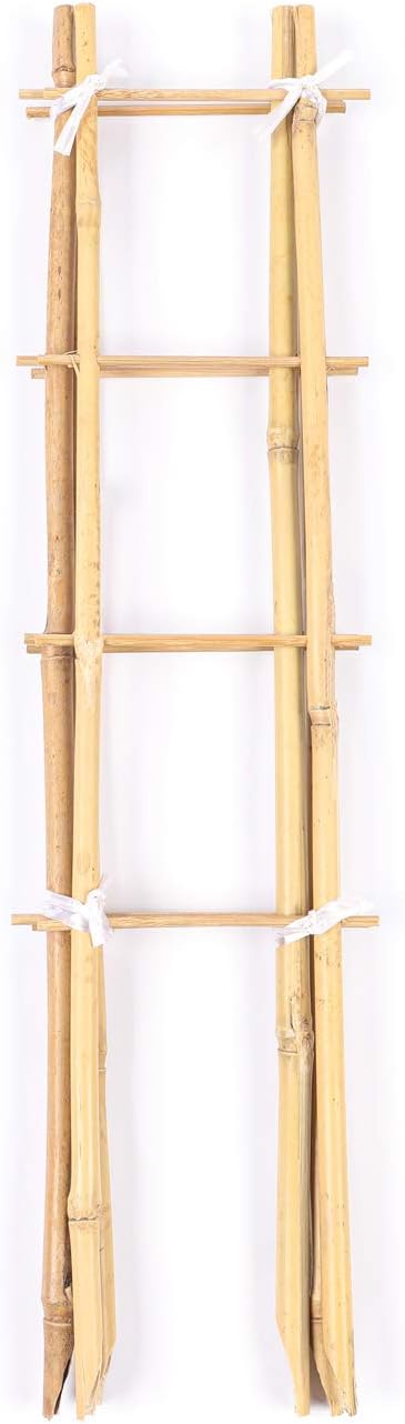 24 Inch Trellis for Potted Plants 3 Pack Bamboo Trellis Indoor Natural Garden Trellis for Climbing Plant Monstera Hoya Vegetables and Fruits