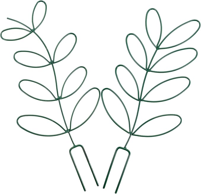 Toyvian 2pcs Iron Plant Climbing Frame Trellis Support for Garden Climbing Plants and Flowers Green Metal Stake Holder for Potted Vegetables and Outdoor Vine Growing