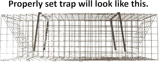 2 Folding Colony Muskrat Trap - 6 x 6 x 24 Trapping Supplies 2 Pack