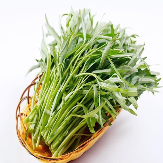 2000 Seeds Kangkong Seeds - Rau Muong Seeds Ong Choy Cong Xin CAI Seeds Brown Wạtér Spinạch Seeds Vegetable Seeds