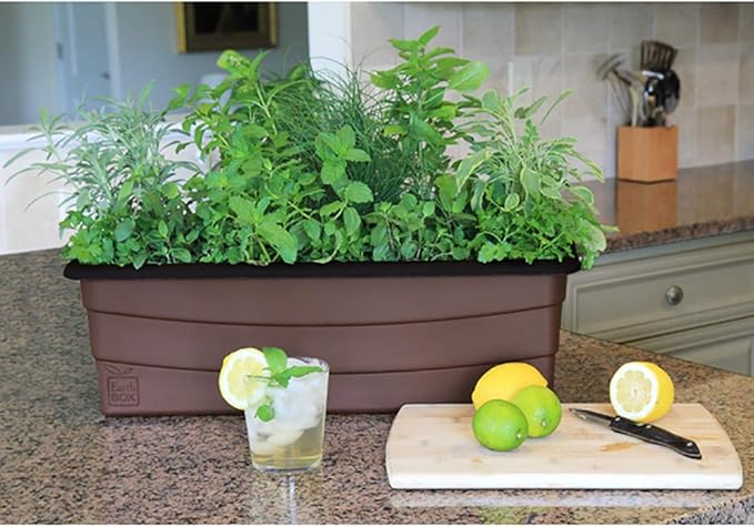 Earthbox 80603.01 Standard Junior Garden Kit Chocolate
