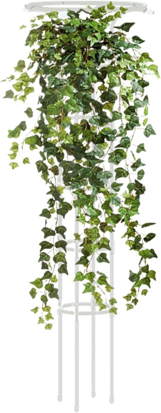 Indoor Plant Trellis - Single Umbrella-Shaped Indoor Trellis - 72.8in Garden Trellis for Climbing Plants Plant Trellis Flower Support Climbing Trellis Support Stake for Garden