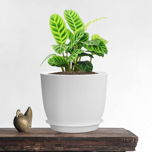 12/10/9 Large Plant Pots Plastic Planters with Drainage Holes and Saucers for Indoor Outdoor Plants Flowers White