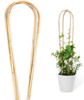 Natural Bamboo Plant Trellis U-Hoop 4 Feet Arch Bamboo Garden Trellis Support for Climbing Plants Outdoor Vines Ivy Plants Climbing Flowers Plant Tower - Pack of 3 Hoops