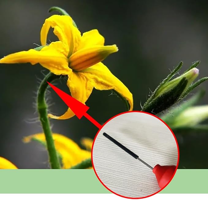 iDili AC 100-240V Electric Tomato Pollinator Greenhouse Eggplant Pepper Flowers Automatic Pollination Machine Built-in 6500mAh Lithium Battery