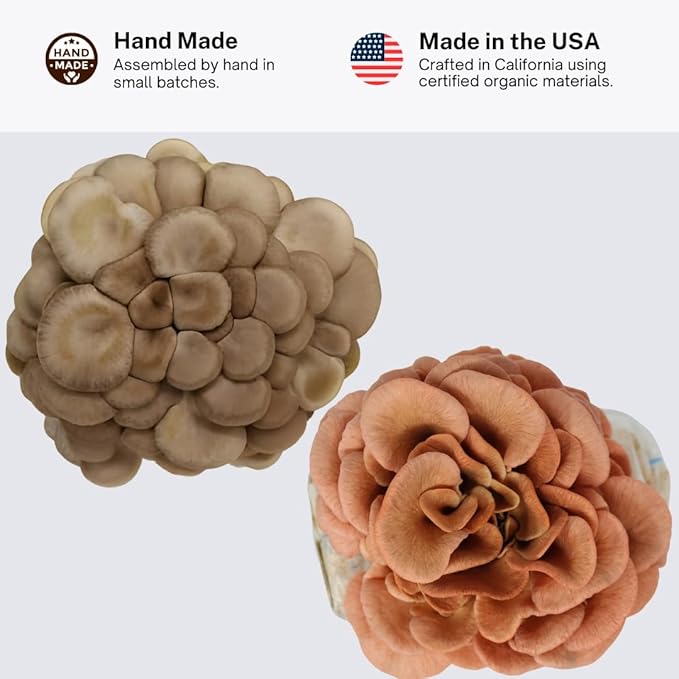 Forest Origins Oyster Mushroom Grow Kit 2-Pack Pink and Brown Varieties Harvest in 10 Days Beginner Friendly Handmade in California USA Unique Gift Set