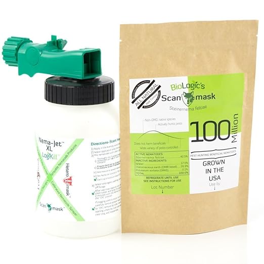 BioLogic's Scanmask Beneficial Nematodes Steinernema feltiae Sf Nematodes for Natural Insect Pest Control (100 Million with Applicator)
