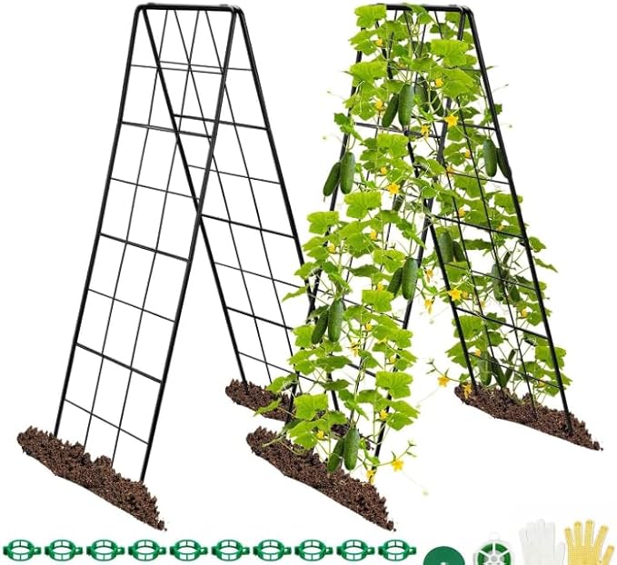 Cucumber Trellis 50x30 Metal Garden Trellis for Climbing Plants A Frame with Powder Coated Black Iron Heart Shaped