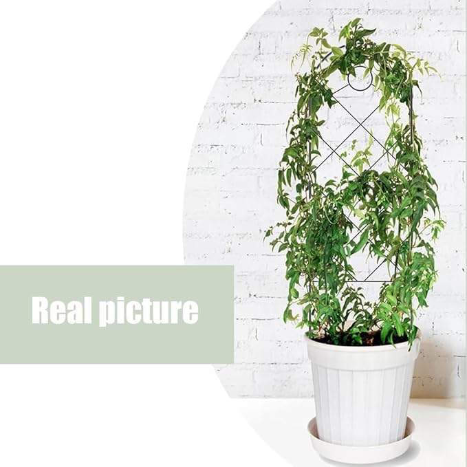 22.8 * 7.9in Metal Trellis Garden Trellis for Lawn Garden Backyard