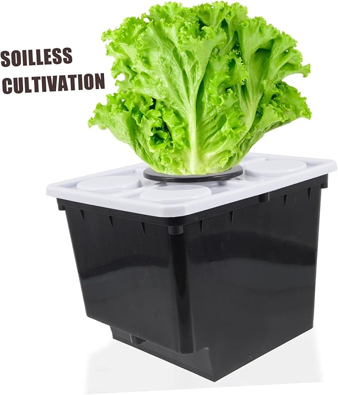 Soilless Cultivation Hydroponic Basket Durable Plant Growth Bucket for Greenhouse Easy Installation for Vegetables and Fruits for Indoor and Outdoor Gardening