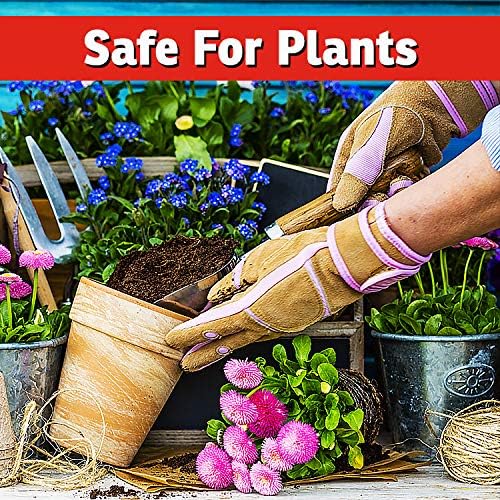 I Must Garden Rabbit Repellent Concentrate