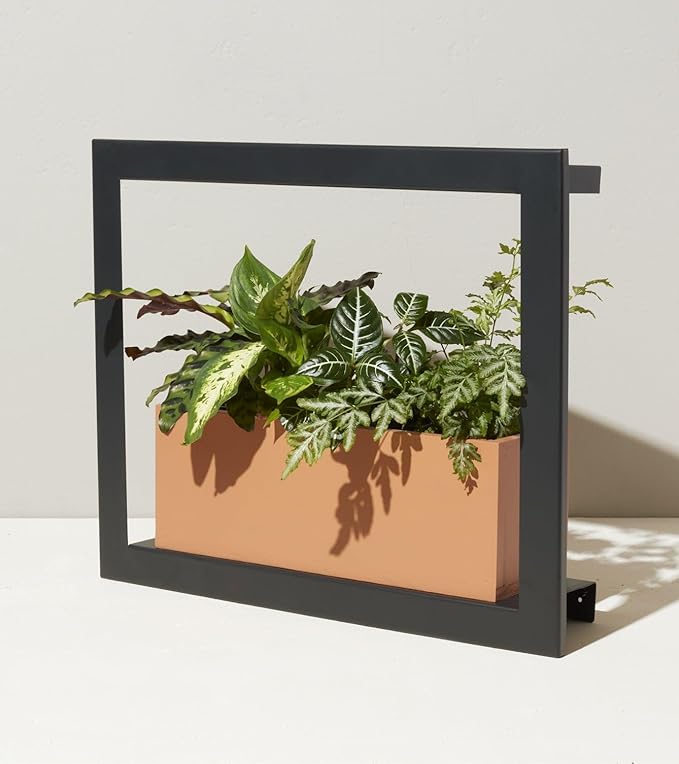 Modern Sprout Smart Growframe Wall Mounted LED Grow Light with Shelf -Mustard