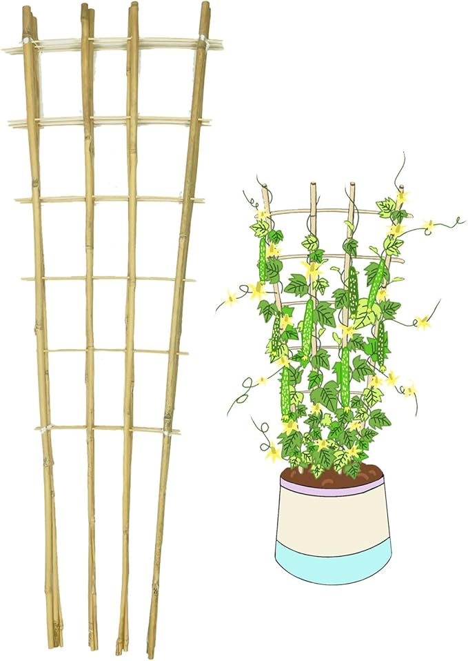Natural Bamboo Trellis 4.8Feet3PackFan-Shaped Plant Support Trellis for Outdoor and Indoor Potted Climbing PlantsVegetables Cucumber Tomato Hoya