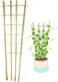 Natural Bamboo Trellis 4Feet3PackFan-Shaped Plant Support Trellis for Outdoor and Indoor Potted Climbing PlantsVegetables Cucumber Tomato Hoya