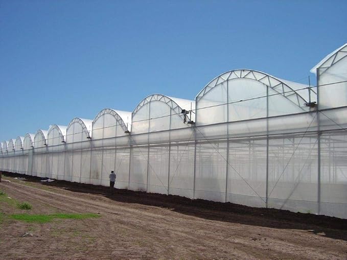 GT4 6 Mil Uv Treated Standard Clear Greenhouse Film 36' Wide X 75' Long