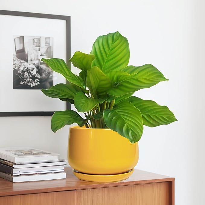G EPGardening Ceramic Pots for Plants - 7 Inch Plant Pot with Drainage Hole and Saucer Modern Ceramic Planter for Indoor Outdoor Round Flower Planter Gifts for Plants Lovers Home Decor Yellow