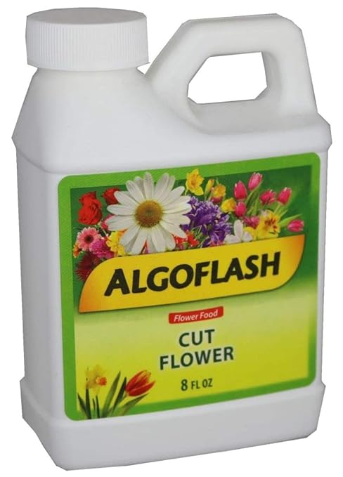 Algoflash Cut Flower - 8 oz. - Extend The Life of Your Flowers