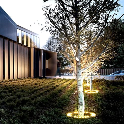 Outdoor LED Ring Lights for Tree Roots Uplighting IP65 Waterproof Landscape Lighting Kit 12W 1160LM 24V Wired Spotlights (3000K 8 Lights) for Garden Decor