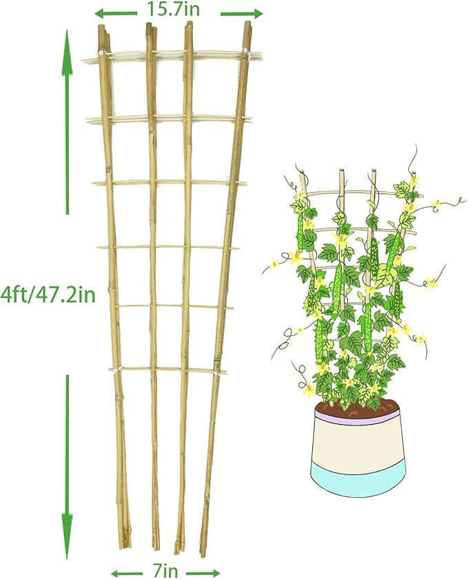 Natural Bamboo Trellis 4Feet3PackFan-Shaped Plant Support Trellis for Outdoor and Indoor Potted Climbing PlantsVegetables Cucumber Tomato Hoya