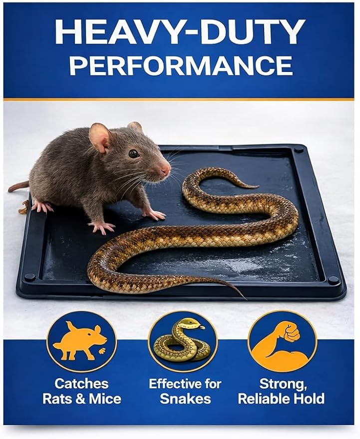 Glue Traps Indoor for Home 12 Pack Bulk Glue Traps for Rats Mice Snakes and Lizards Non-Toxic Adhesive Plastic Trays Insect &amp Spider Pet Safe Pest Control