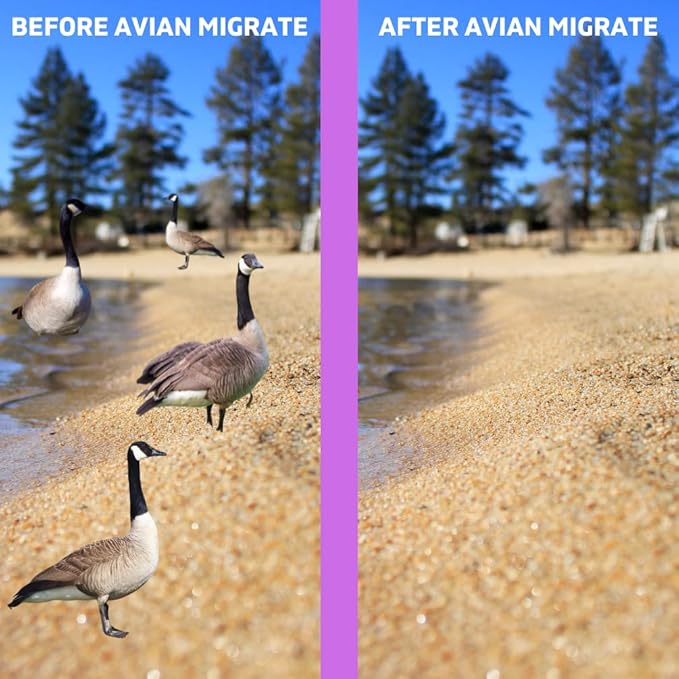 Goose Deterrent Bird Repellent Concentrate Geese Repellent Non-Toxic Removes Geese from Yards Parks Beaches Ponds and Ground Made in The USA (1/2 Gallon)