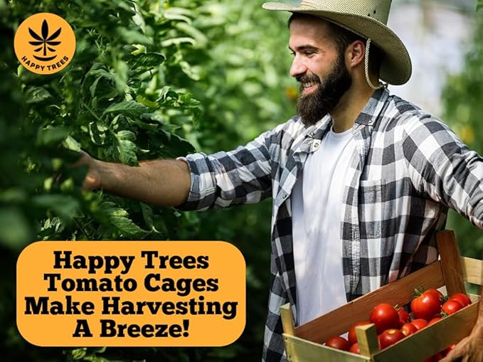 Happy Trees Large Heavy Duty Tomato Cages - Support Trellis for Climbing Vegetables and Plants - 18 x 18 x 58 - Thick Gauge Galvanized Steel Collapsible Easy Storage 3-Pack Made in USA