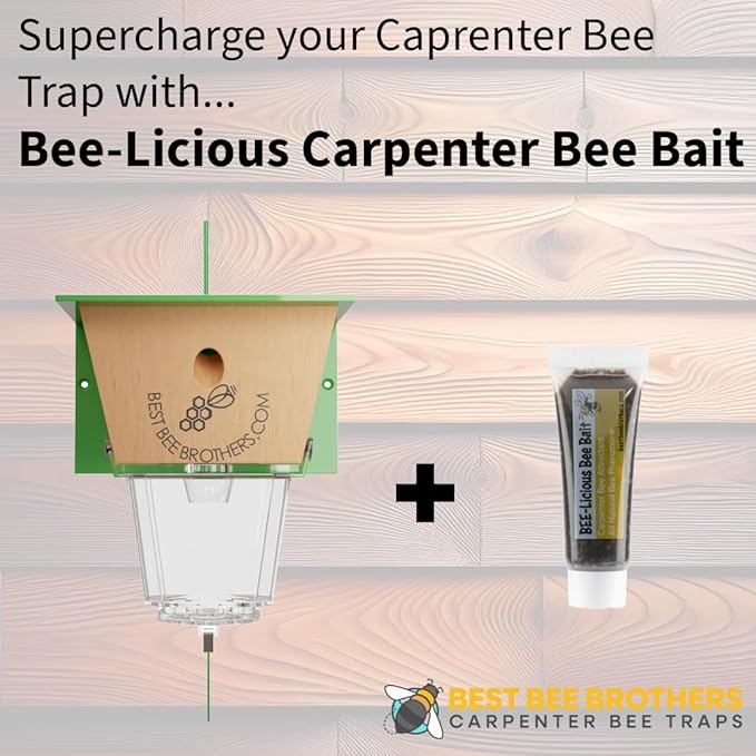Best Bee Brothers Ultimate Carpenter Bee Trap for Outside with Large Clear External Receptacle Internal Bee Vault &amp Spring-Loaded Door 5.75 L x 6 W x 4.5 H (6 Pack)