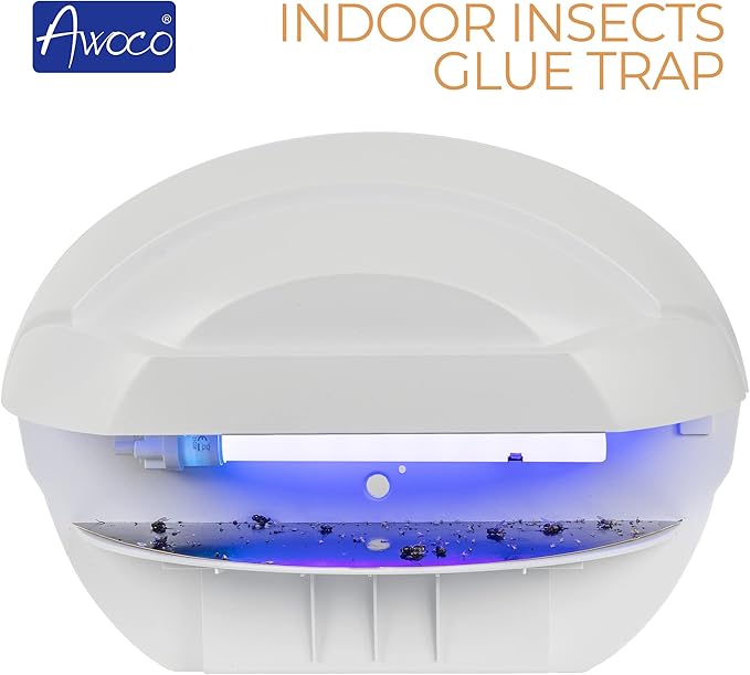 Awoco LED 5W 100V-240V Wall Mount Sconce Sticky Fly Trap Lamp XL 78” Extra Long Power Cord for Capturing Flying Insects Flies Mosquitoes and Moths (Fly Trap XL + 6 Glue Boards)